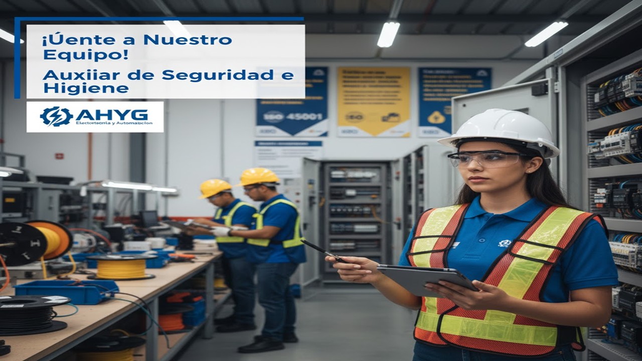Auxiliar de Seguridad